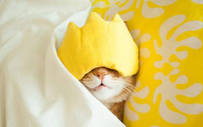 Are your students struggling with sleep debt? Here’s how to help