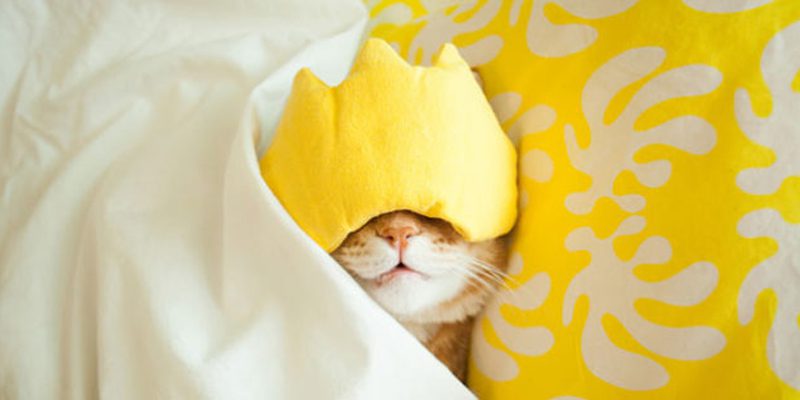 Are your students struggling with sleep debt? Here’s how to help