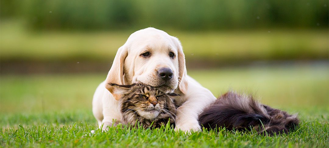 How to help students manage their friendships
