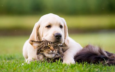 How to help students manage their friendships